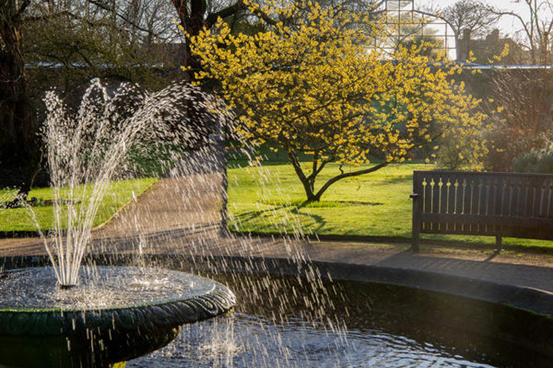 Picture of Oxford Botanic Gardens