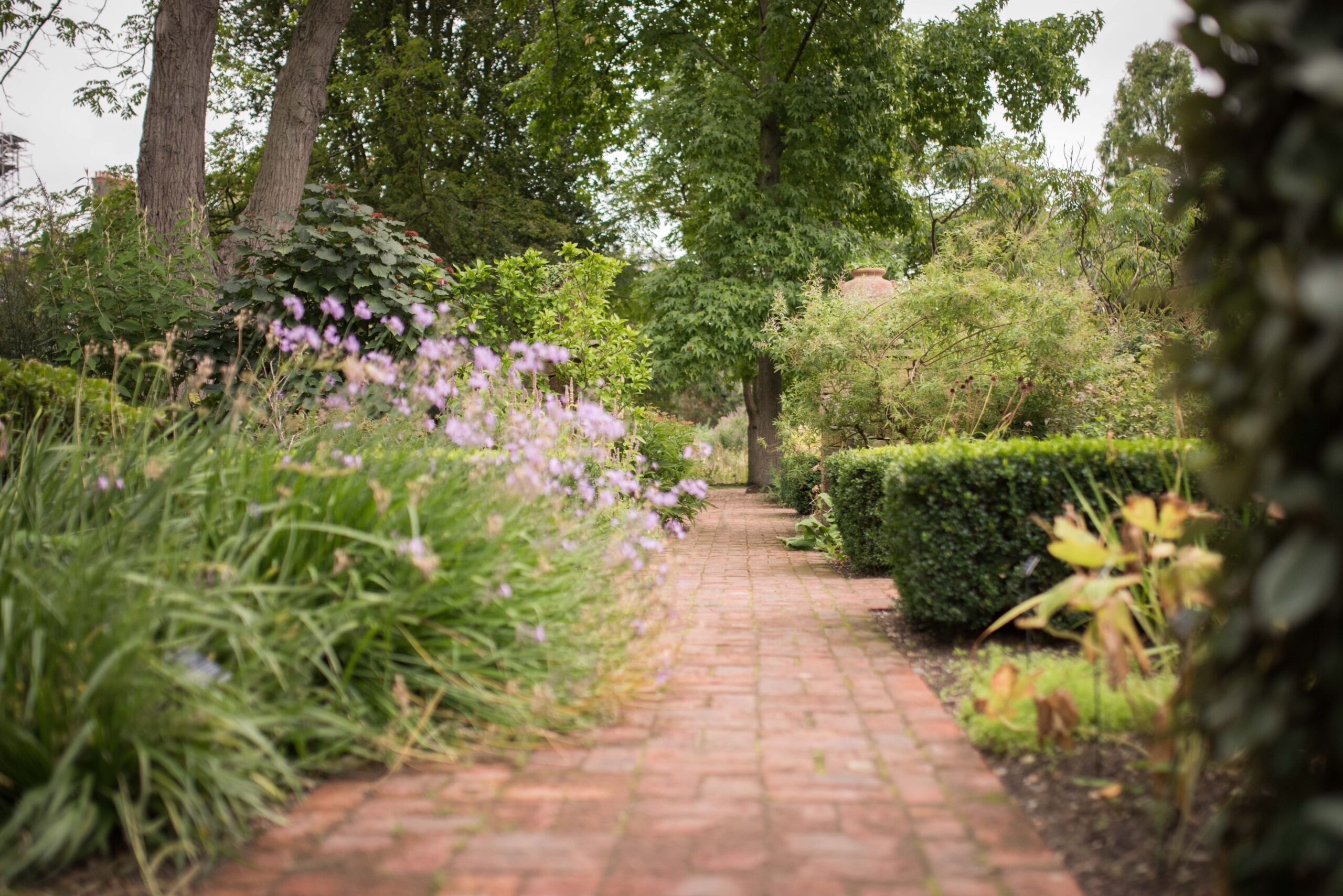 Opening times and tickets Chelsea Physic Garden