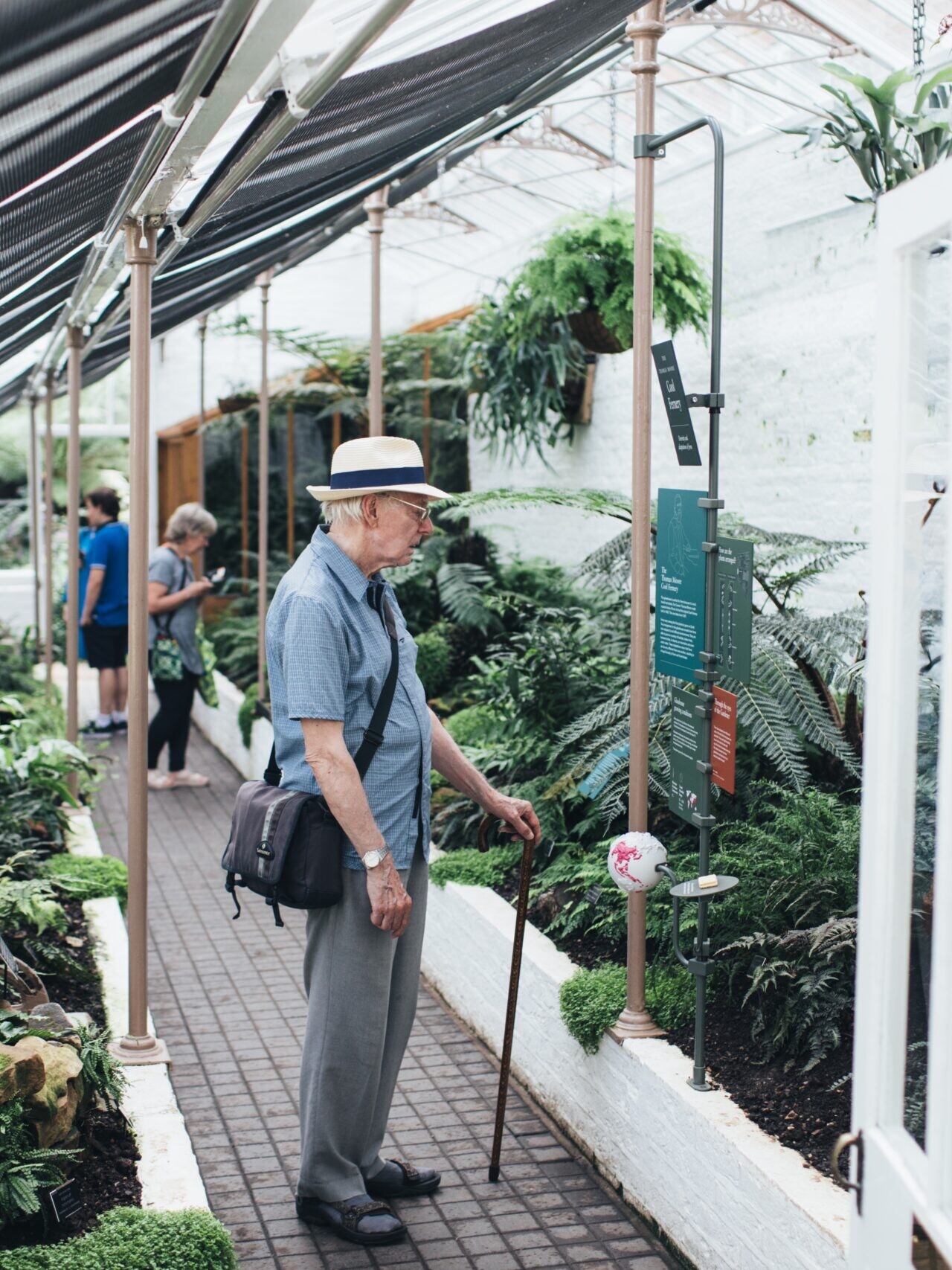 Visitors in Cool Fernery glasshouse