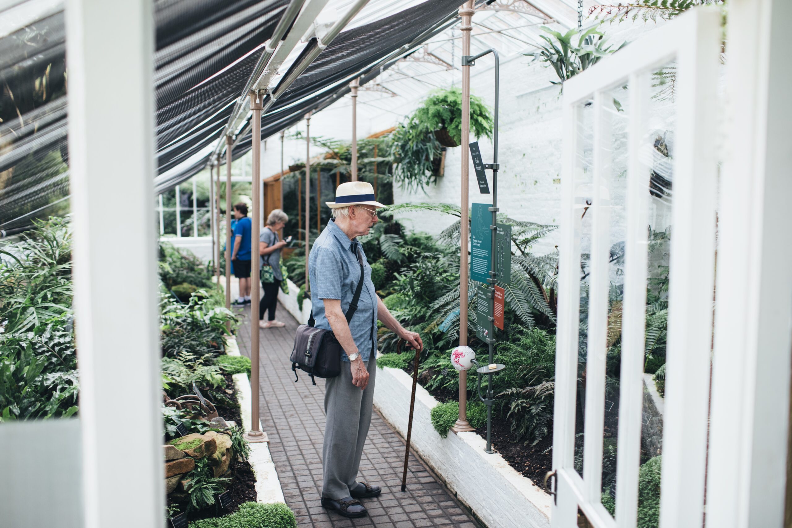 Visitors in Cool Fernery glasshouse